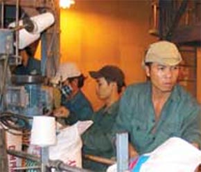 Sản xuất tại Nhà máy đạm Phú Mỹ.