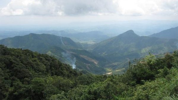 Doanh nghiệp nước ngoài thuê đất rừng giá 180.000 đồng/ha