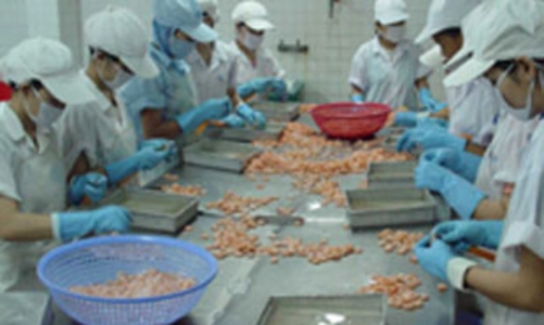 Chật vật tìm nguyên liệu chế biến thuỷ sản xuất khẩu