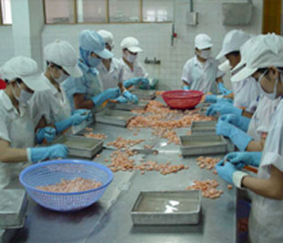 Thiếu nguyên liệu là tình trạng phổ biến của nhiều doanh nghiệp.