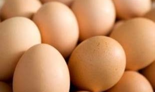 Chưa xác định có trứng nhiễm melamine