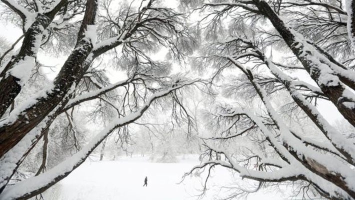 undefined - Ảnh 3.