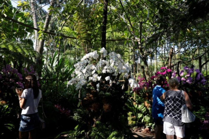 Liệu Singapore có áp dụng “ngoại giao phong lan” với thượng đỉnh Mỹ-Triều? - Ảnh 4.