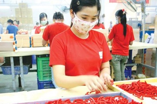 Xét về hiệu suất sử dụng nguồn lực và chất lượng hoạt động của khối doanh nghiệp tư nhân đang tồn tại, thì các doanh nghiệp tư nhân có sự cải thiện khá tốt.