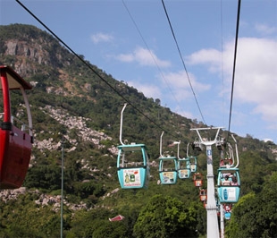 Ngày 1/6/2009, TCT sẽ thanh toán cổ tức với tỷ lệ thực hiện 55%/cổ phần - Ảnh minh họa.