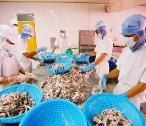 Kim ngạch xuất khẩu thuỷ sản tháng đầu tiên của năm 2007 tăng hơn 40%.
