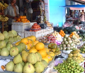 "Chiến lược, phương pháp cho một hệ thống quản lý chất lượng quả để xuất khẩu là một thách thức của ngành nông nghiệp."