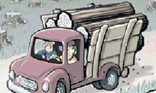 Thế giới cần 10-15 tỷ USD để bảo vệ rừng mỗi năm