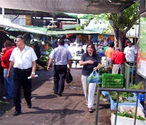 Trên đường phố ở Thủ đô Santiago, Chilê.