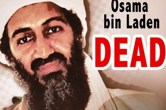 Cái chết của Bin Laden giống như một cơn bão làm tràn ngập Internet suốt tuần qua.