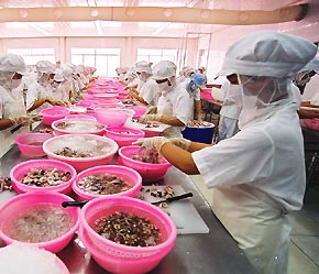 Thực hiện các quy định về kiểm soát và xử lý các trường hợp vi phạm trong sử dụng kháng sinh cấm trong sản xuất thủy sản.