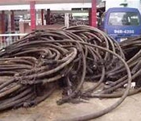 Cáp quang khai thác trái phép bị bắt giữ.