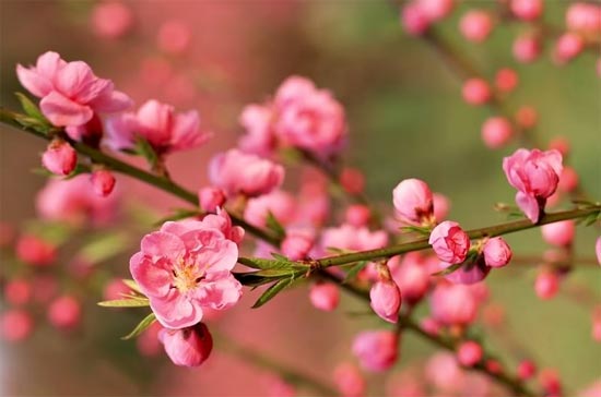 Một mùa xuân mới đang về với nhiều kỳ vọng.
