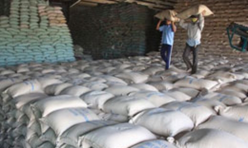 “Nóng bỏng” kho chứa gạo