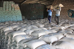 Đề có hệ thống kho chứa dự trữ 4 triệu tấn sẽ phải đầu tư 7.620 tỷ đồng. 