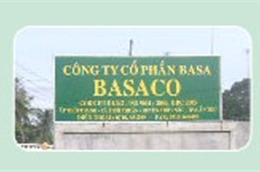 Quý 4/2010, BAS lỗ 4,48 tỷ đồng, cả năm 2010 lỗ gần 12 tỷ đồng.