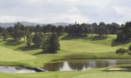 Cả nước có 123 sân golf