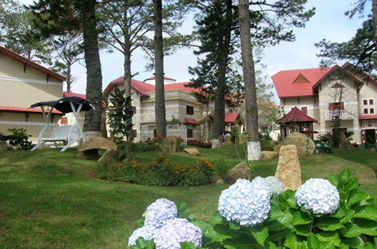 Vào cuối tháng 9/2009, UBND tỉnh Lâm Đồng đã ra quyết định thu hồi 11 biệt thự Pháp cổ ở khu Tỉnh ủy Lâm Đồng cũ nằm trên đường Nguyễn Du và Phó Đức Chính, thành phố Đà Lạt.