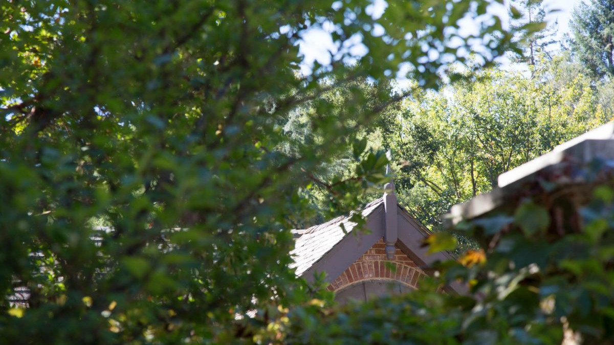 undefined - Ảnh 3.