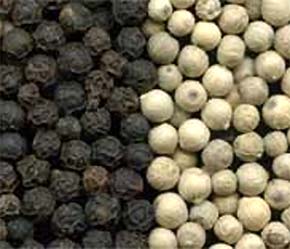 Vào thời điểm này, giá thu mua hạt tiêu trong nước đã lên đến 53.000 đồng/kg và nhiều khả năng sẽ còn tiếp tục tăng cao.