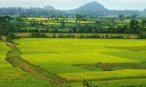 Phải lập xong tổ chức phát triển quỹ đất trước tháng 6/2011