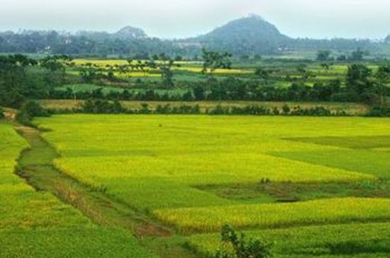 Tổ chức phát triển quỹ đất có nhiệm vụ tạo quỹ đất để đấu giá quyền sử dụng đất; tạo quỹ đất để phục vụ phát triển kinh tế, xã hội...