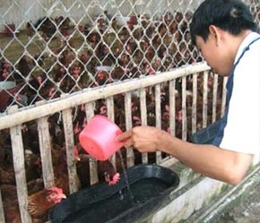Tốc độ tăng trưởng của các doanh nghiệp nhỏ và vừa chỉ đạt khoảng 2%/năm trong khi tốc độ tăng trưởng của doanh nghiệp bình quân chung của cả nước là 20 - 25%/năm.