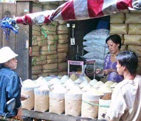 Cả nước hiện có khoảng 3 triệu hộ kinh tế cá thể.