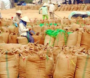 "Giá lúa gạo có sự biến động vì nó phản ảnh thực chất của thị trường như bao mặt hàng khác.