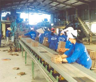 Nguồn nhân lực ở nông thôn hiện vừa thiếu, vừa yếu.