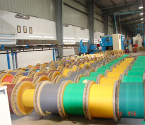 Nhu cầu về cáp viễn thông ở Việt Nam còn rất lớn và chưa được đáp ứng, hiện nay các nhà sản xuất trong nước chỉ đáp ứng khoảng 70% tổng số nhu cầu về cáp viễn thông.