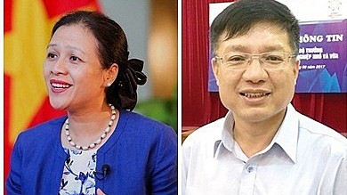 Bà Nguyễn Phương Nga và ông Hồ Sỹ Hùng.