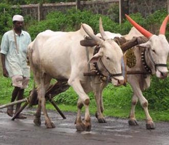 Khoảng 25% dân số Ấn Độ (hơn 250 triệu người) hiện vẫn sống ở mức nghèo đói, với thu nhập dưới 1 USD/ngày.