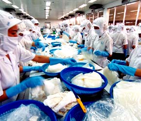 Sản phẩm chính của công ty là nghêu, cá tra và tôm sú đông lạnh - Ảnh: VT.