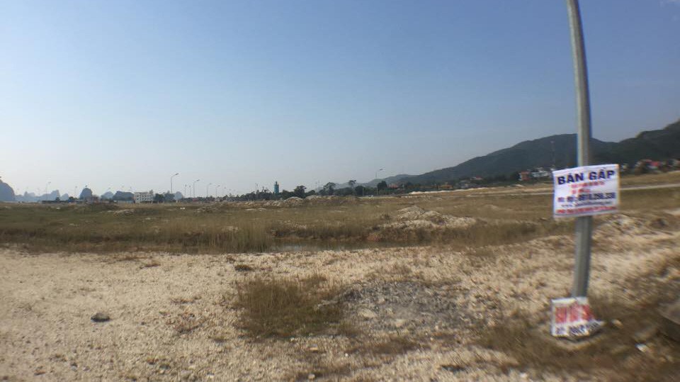 Rao bán đất ở Vân Đồn - Quảng Ninh - Ảnh: NH.