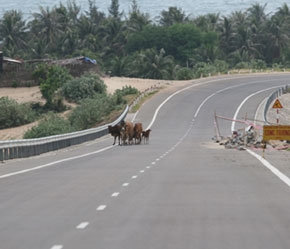 Đường Hồ Chí Minh, một dự án trọng điểm quốc gia.