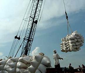 Mặc dù vẫn chưa rõ Pakistan sẽ nhập khẩu loại gạo nào, nhưng theo Thương vụ Việt Nam, có thể nước này sẽ nhập gạo của Thái Lan hoặc Việt Nam.