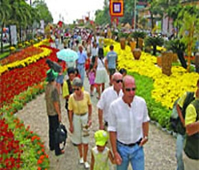 Hơn 10 năm qua, Việt Nam đã thu hút được 182 dự án đầu tư nước ngoài vào lĩnh vực khách sạn, du lịch, với số vốn hơn 4,3 tỷ USD.