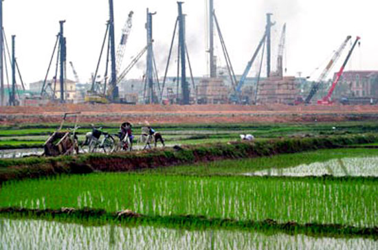 Hầu hết các khu công nghiệp trên địa bàn các tỉnh đồng bằng Bắc Bộ hiện nay đã được xây dựng trên một phần hoặc toàn bộ trên đất lúa.