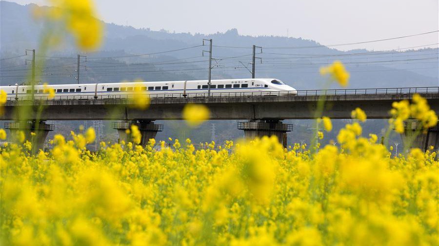 Tàu viên đạn Fuxing của Trung Quốc hiện có tốc độ tối đa 350 km/h - Ảnh: Xinhua.