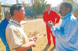 Trên một nông trường của người Trung Quốc ở Sudan - Ảnh: ChinaDaily.