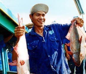 Phần lớn doanh nghiệp thủy sản là doanh nghiệp tư nhân.