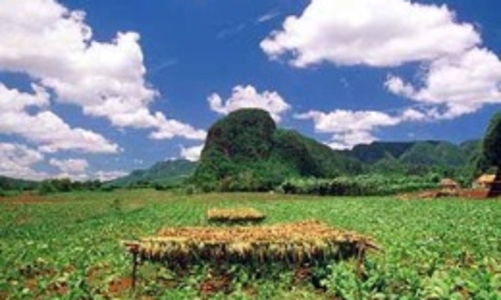 Kinh tế Cuba gặp nhiều khó khăn