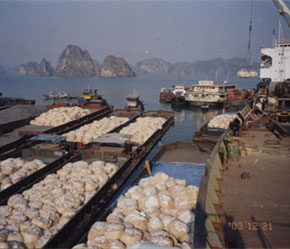 Barite là một trong những sản phẩm quan trọng nhất của Công ty DMC trong nhiều năm qua.