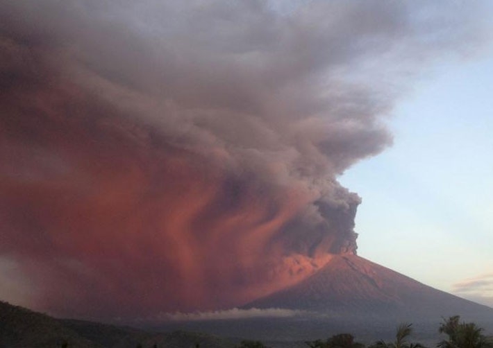 undefined - Ảnh 7.