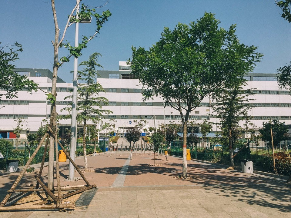 Bên trong thành phố iPhone sản xuất 500.000 chiếc/ ngày ở Trung Quốc - Ảnh 5.