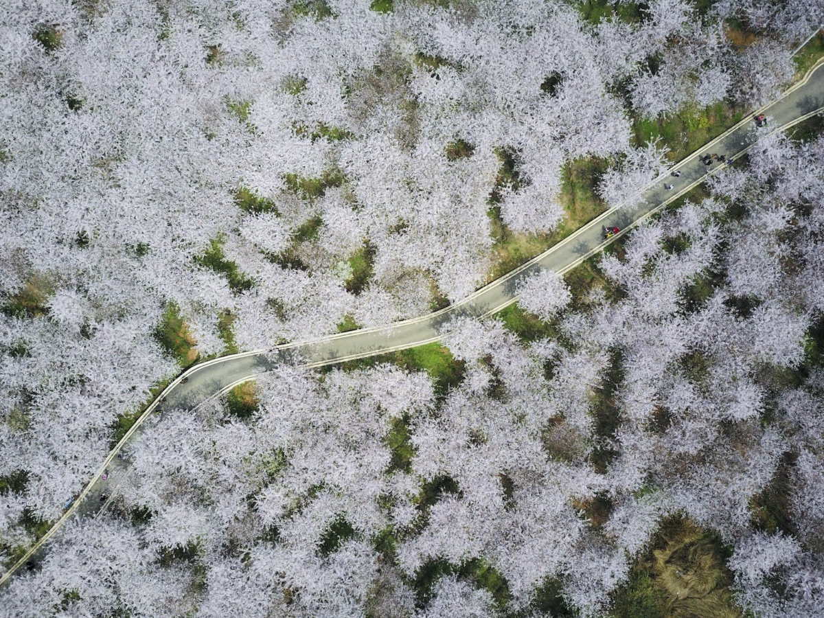 19 hình ảnh cho thấy sự khổng lồ của Trung Quốc - Ảnh 5.