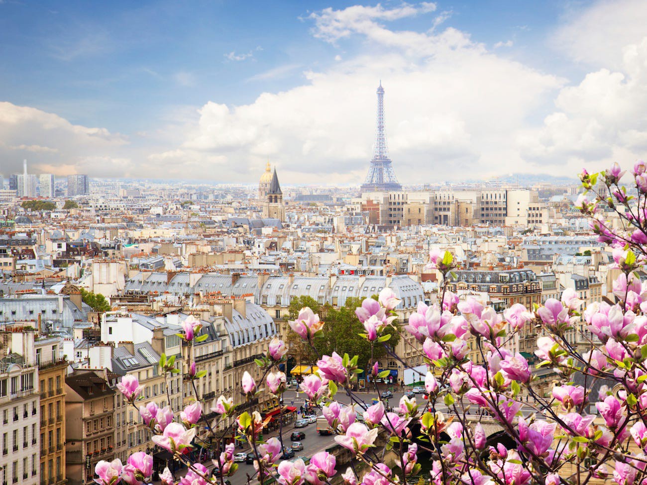 6 France
