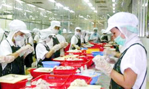 Cảnh báo rủi ro xuất khẩu thủy sản sang Hà Lan