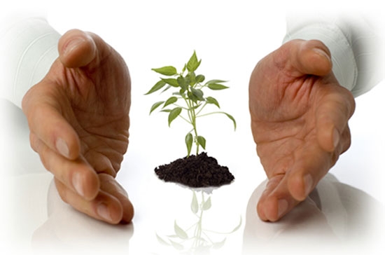 Gìn giữ nhân tài và chiến lược tuyển dụng luôn luôn quan trọng đối với các doanh nghiệp.